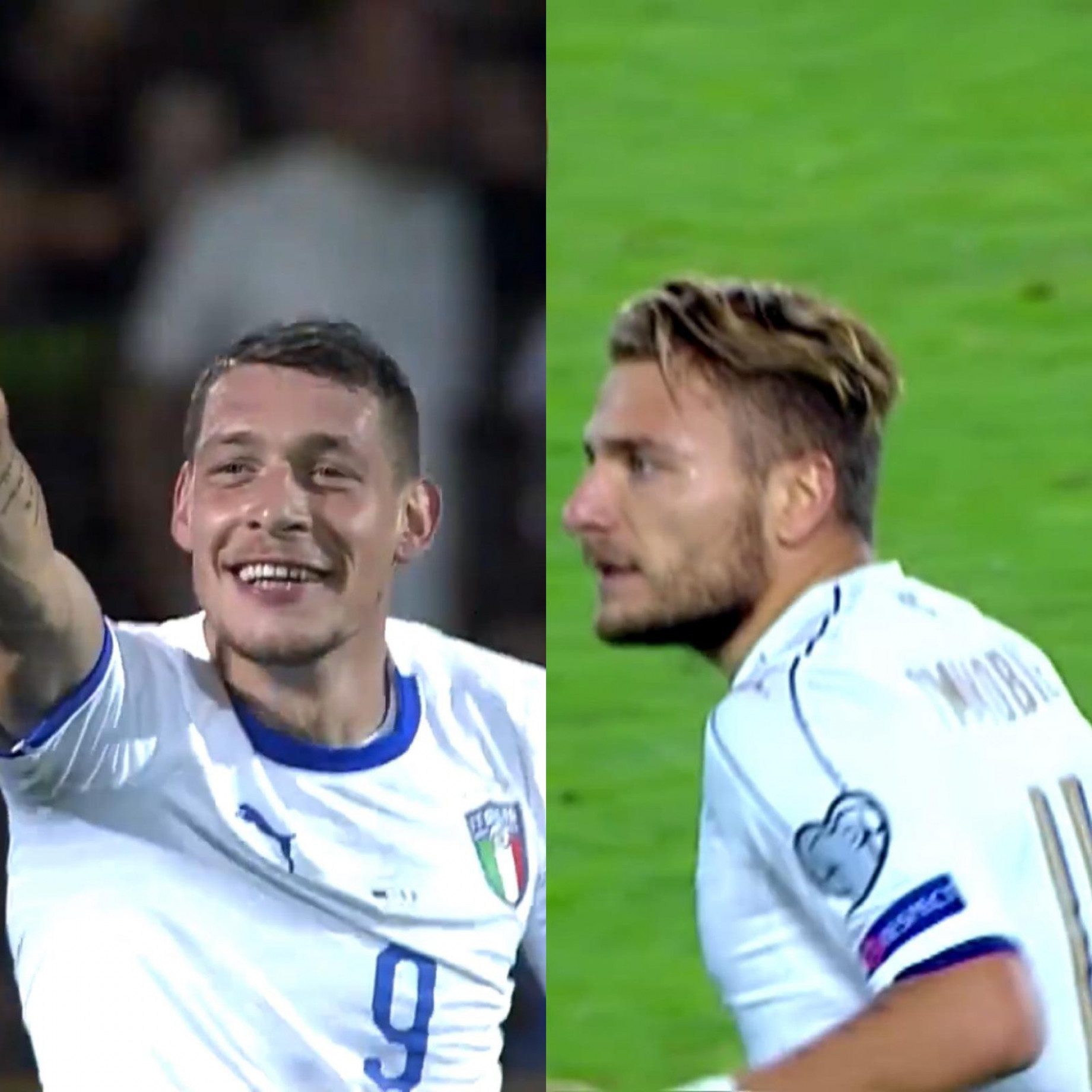 belotti immobile.jpg