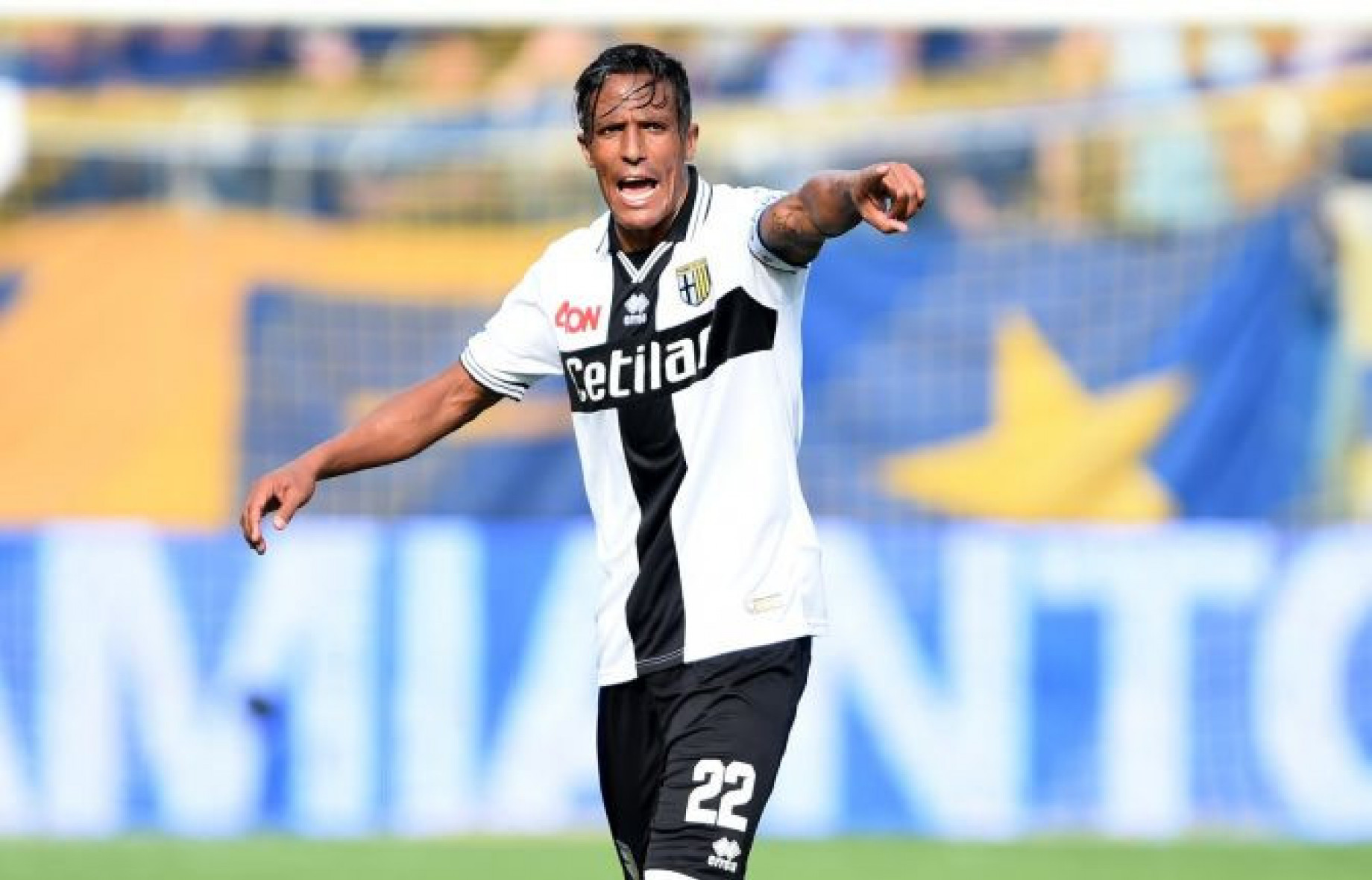 Bruno alves gallery fanta.jpg