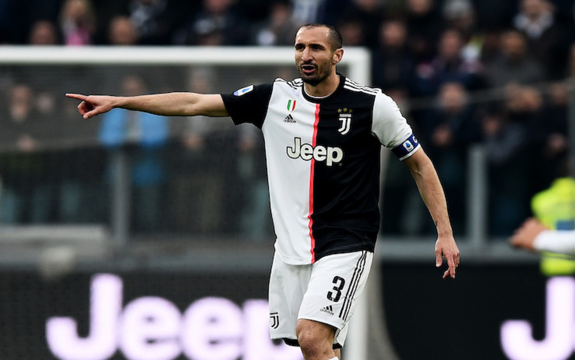 Chiellini Juventus GALLERY FANTACALCIO.jpg