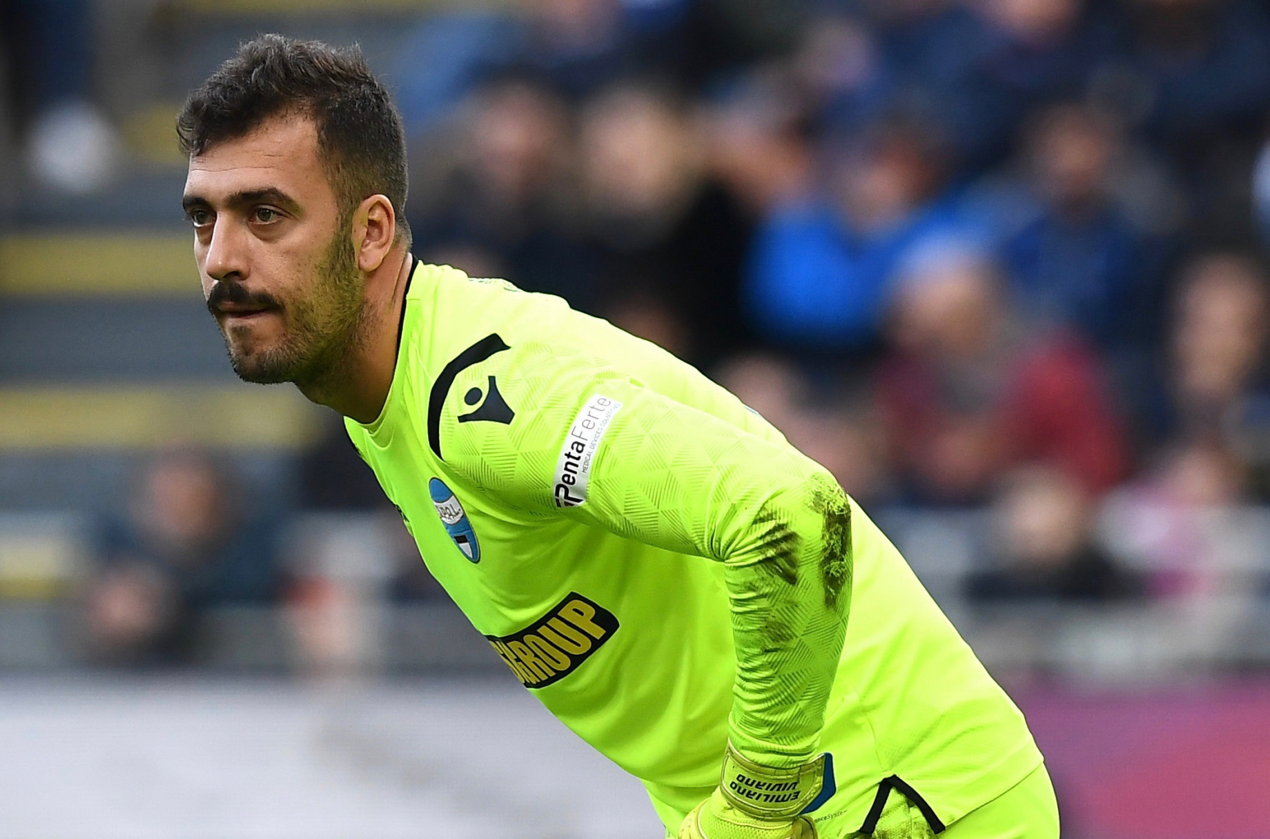 Viviano_SPAL_IMAGE.jpeg